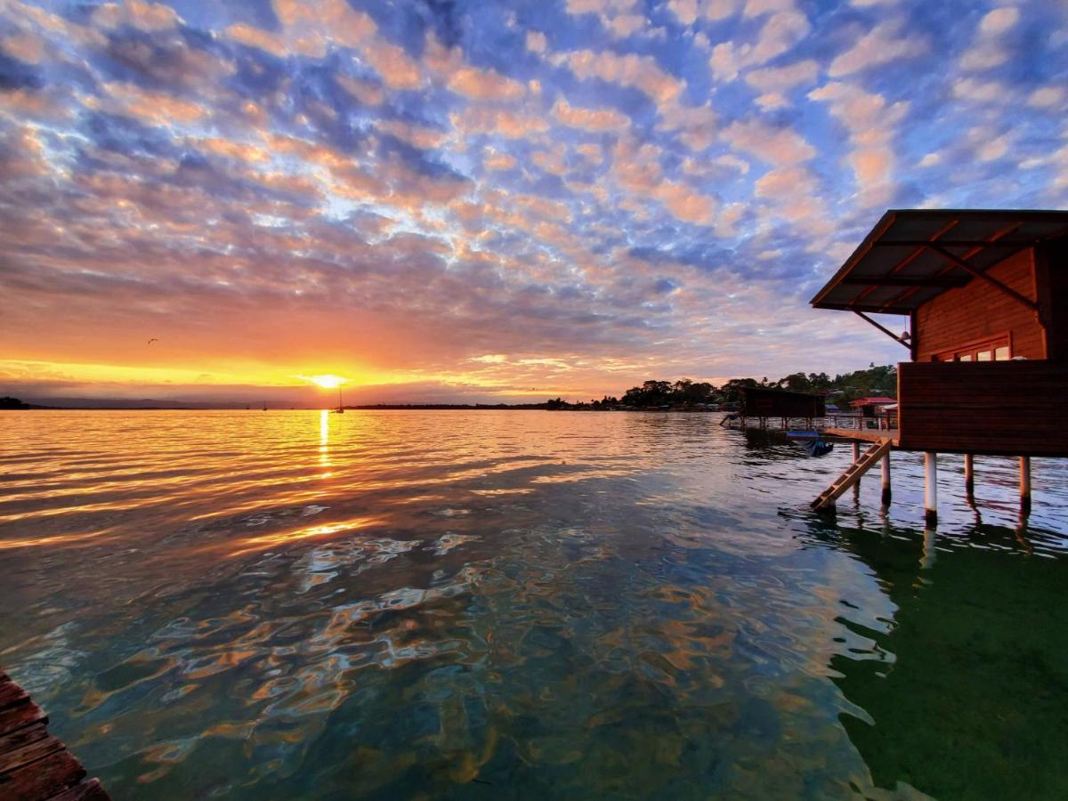 The Sea Monkey Hotel Bocas del Toro Exterior photo