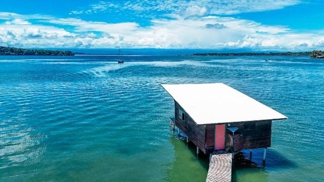 The Sea Monkey Hotel Bocas del Toro Exterior photo